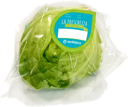Insalata iceberg