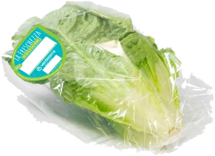 Insalata romana