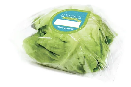 Lattuga trocadero