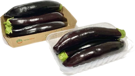 Melanzane lunghe