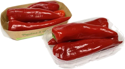 Peperoni corno