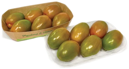 Pomodoro oblungo