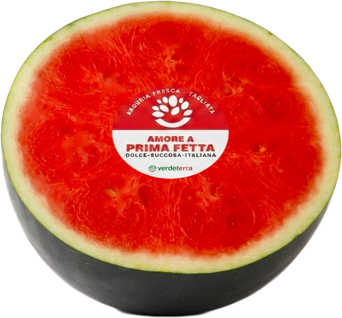 Anguria nera a metà